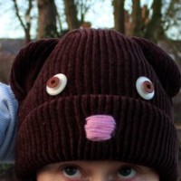 Bear Hat